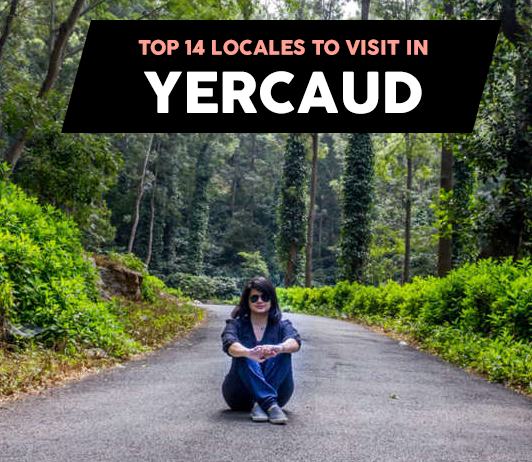 Top 14 Locales to Visit in Yercaud