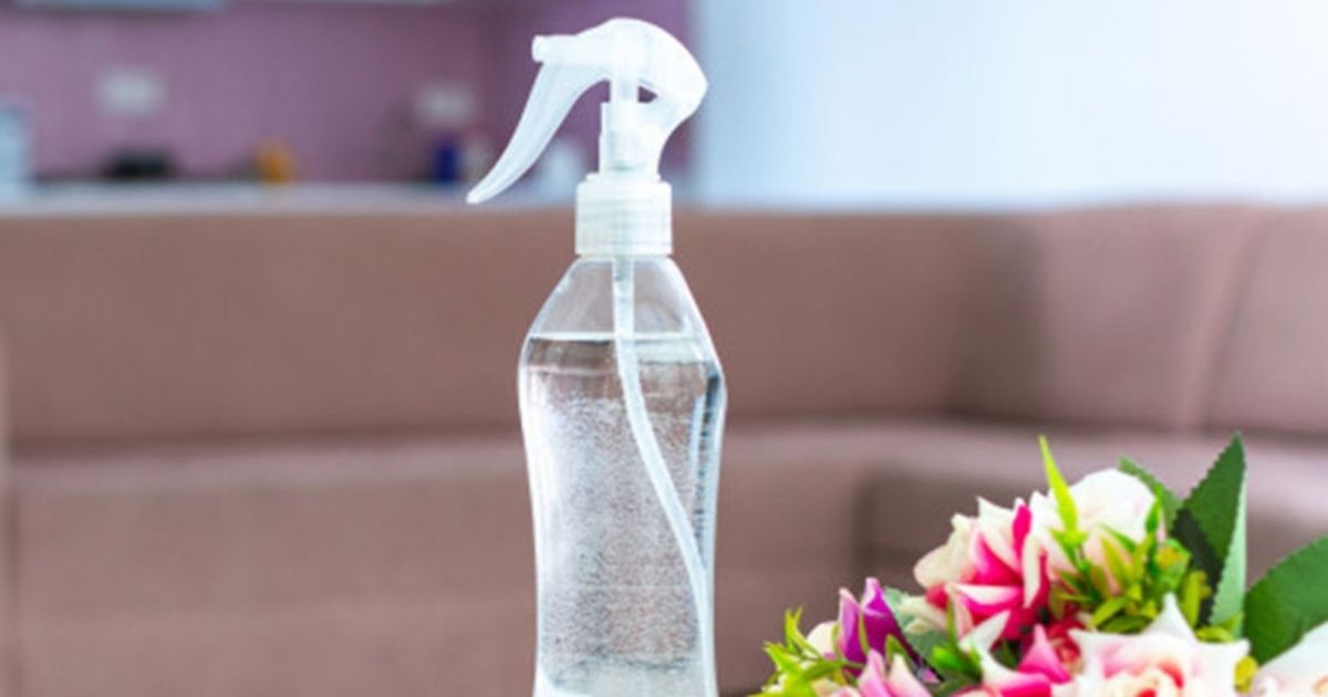 Top Room Fresheners to Ensure Ambient, Fragrant Indoors