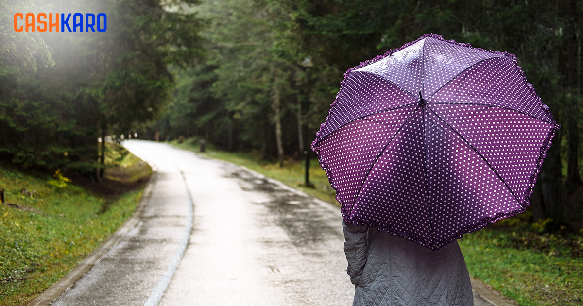 8 Best Umbrella Brands in India for All-Season Protection: 2025 Guide