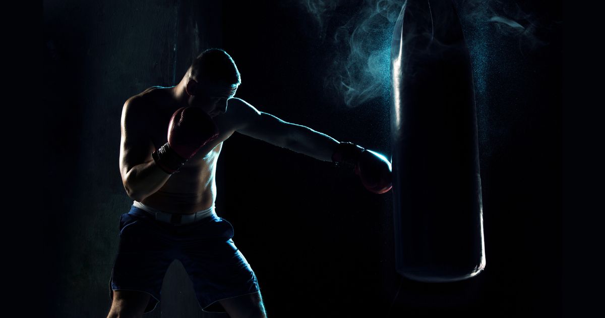 14 Best Punching Bags in India