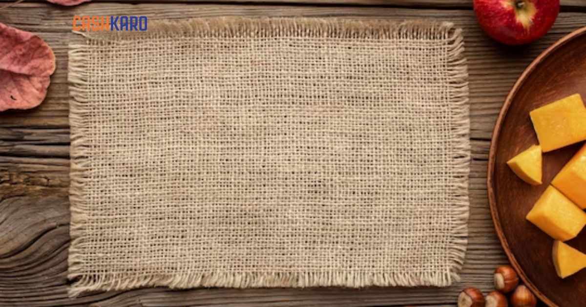 10 Best Table Mats in India to Enhance Your Dining Spaces