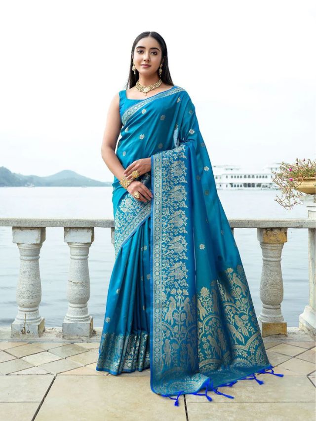 Women's Saree Collection